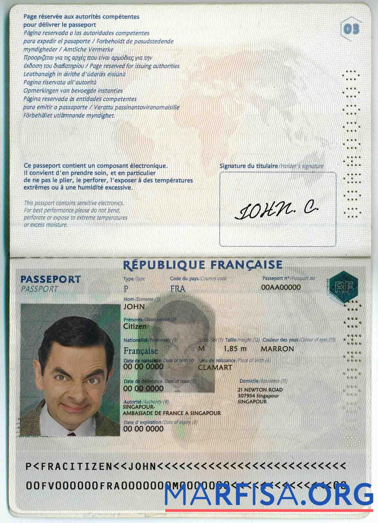 Downloadable France passport template